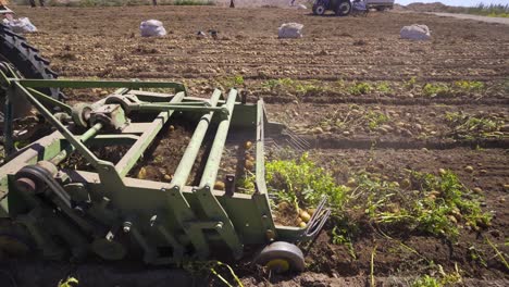 Potato-harvest-in-the-field.-threshing-machine.